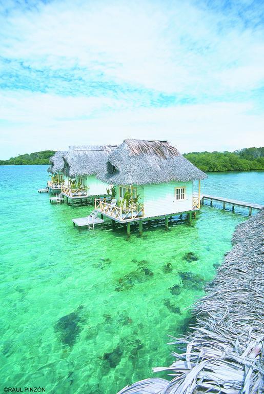 Punta Caracol Acqua Lodge Bocas del Toro Buitenkant foto