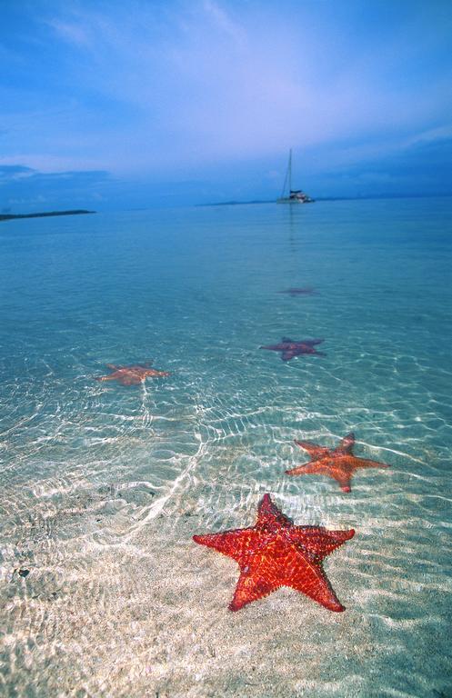 Punta Caracol Acqua Lodge Bocas del Toro Buitenkant foto