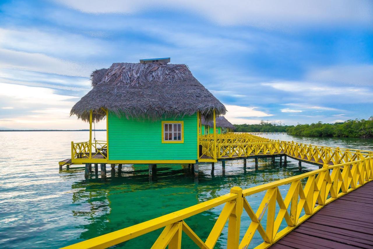 Punta Caracol Acqua Lodge Bocas del Toro Buitenkant foto