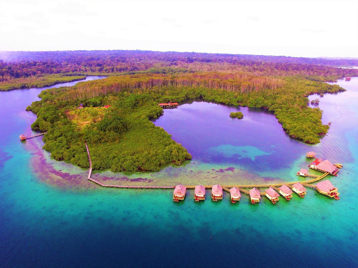 Punta Caracol Acqua Lodge Bocas del Toro Buitenkant foto