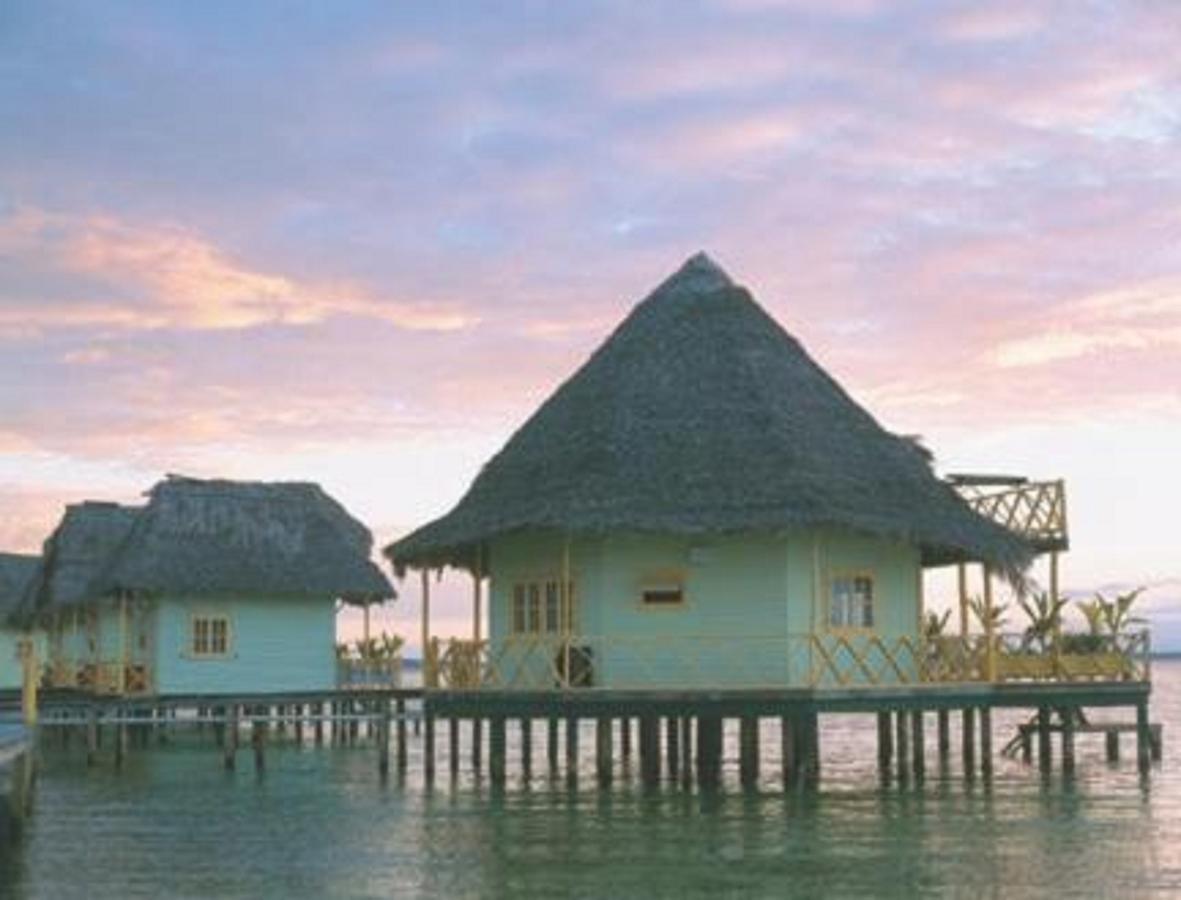 Punta Caracol Acqua Lodge Bocas del Toro Buitenkant foto