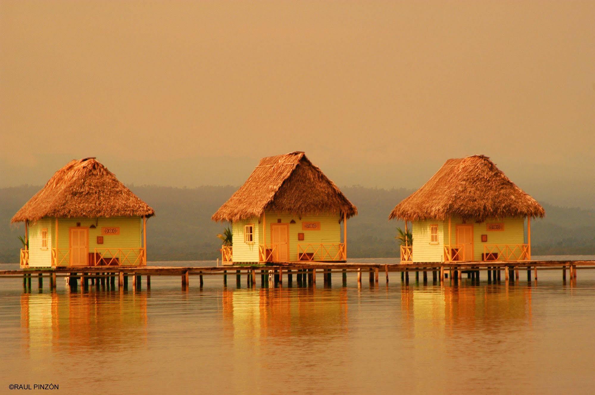 Punta Caracol Acqua Lodge Bocas del Toro Buitenkant foto