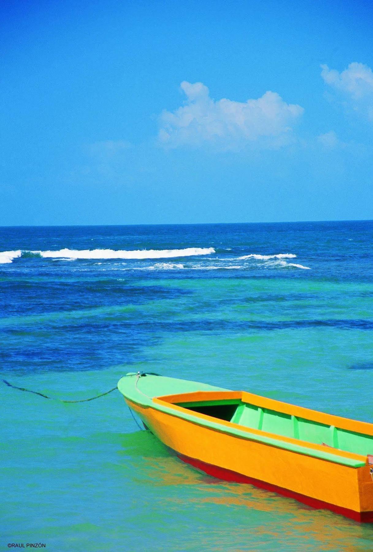 Punta Caracol Acqua Lodge Bocas del Toro Buitenkant foto