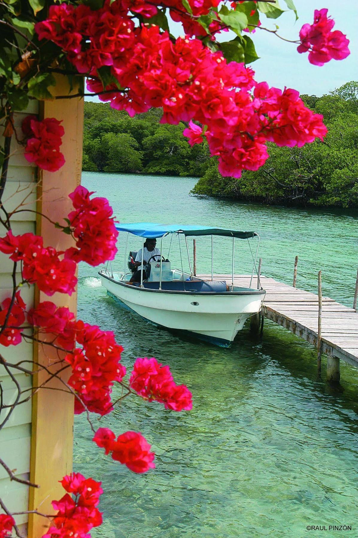 Punta Caracol Acqua Lodge Bocas del Toro Buitenkant foto
