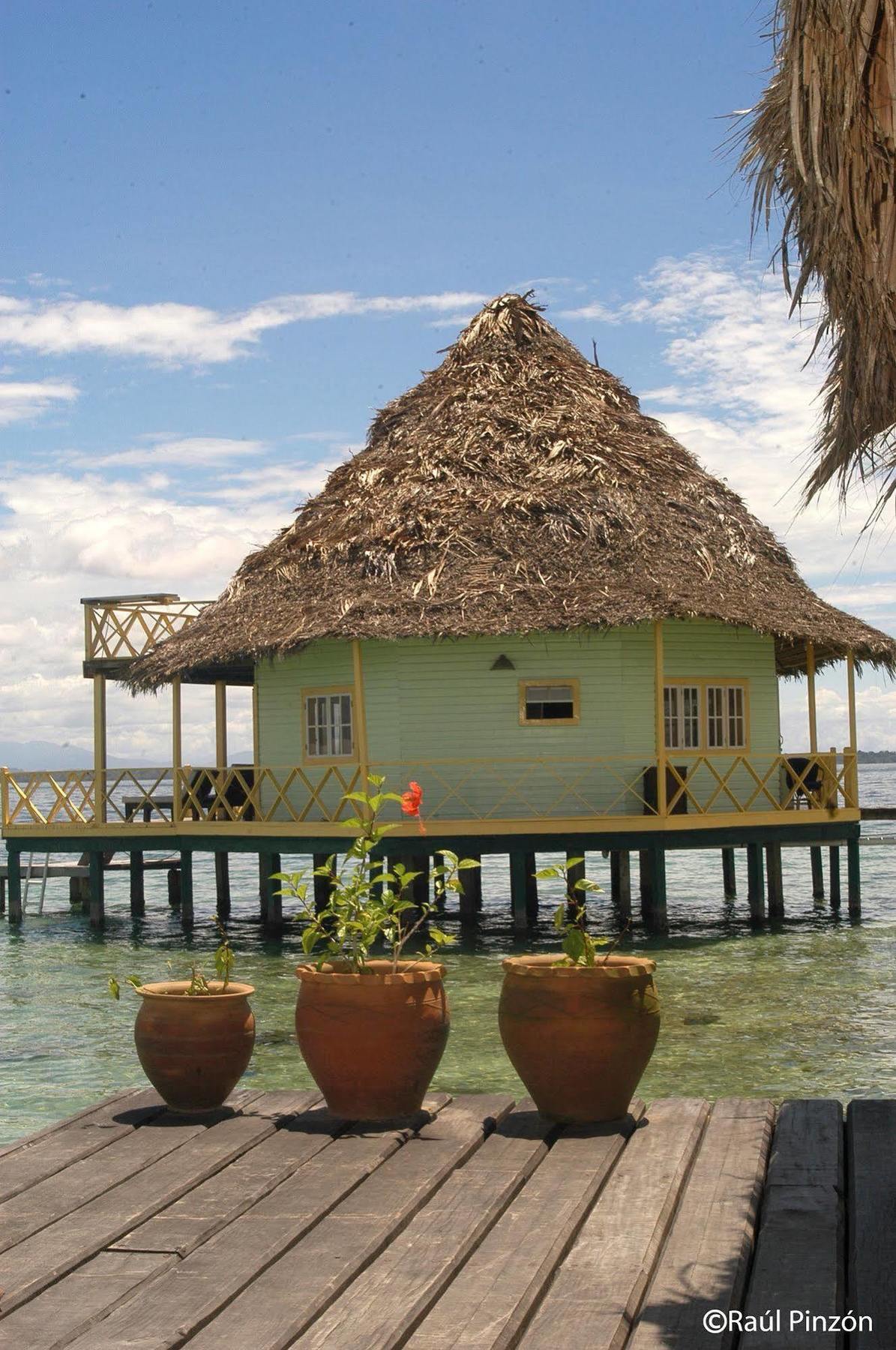 Punta Caracol Acqua Lodge Bocas del Toro Buitenkant foto