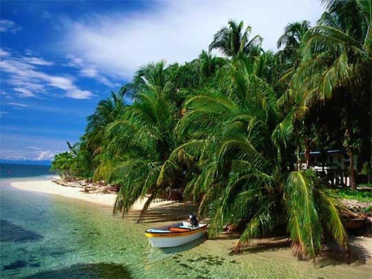 Punta Caracol Acqua Lodge Bocas del Toro Buitenkant foto