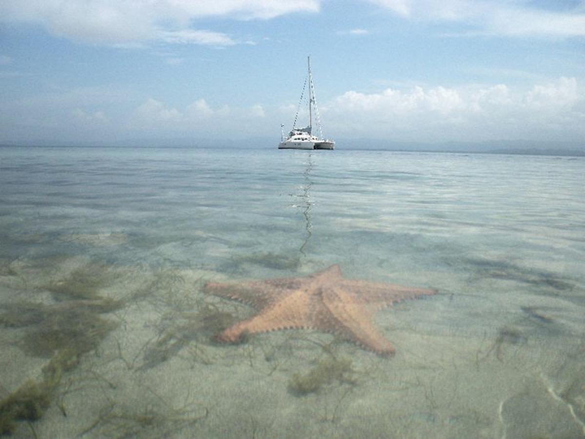 Punta Caracol Acqua Lodge Bocas del Toro Buitenkant foto