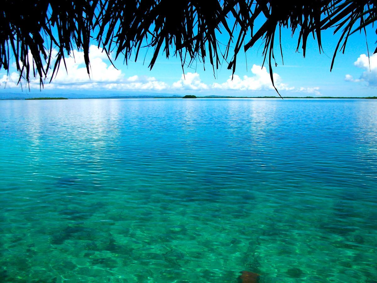 Punta Caracol Acqua Lodge Bocas del Toro Buitenkant foto